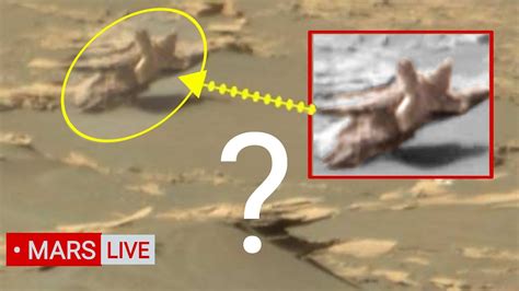 Nasas Mars Perseverance Rover Sends Mysterious Photos Of Mars