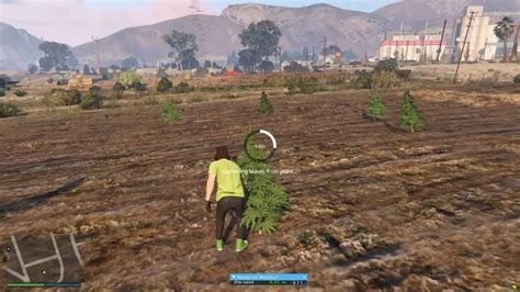 Paid Esxandqb Weed System Fivem Advancedanddatabase Realistic Weed