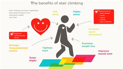 Climbing Stairs Benefits What Are The Health Benefits Of Climbing