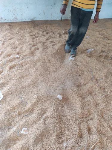 Natural Brown Paddy Seeds For Food Processing Packaging Type Bag At Rs 3000 Quintal In Murmadi