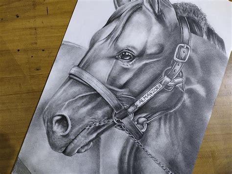 Realistic Horse Sketches