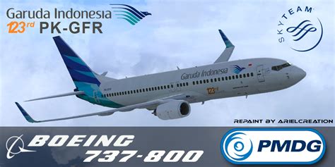 Pmdg 737 800 liveries - roomchef