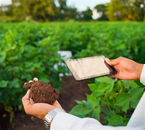 CENTRIGO Ecosystem Farmers