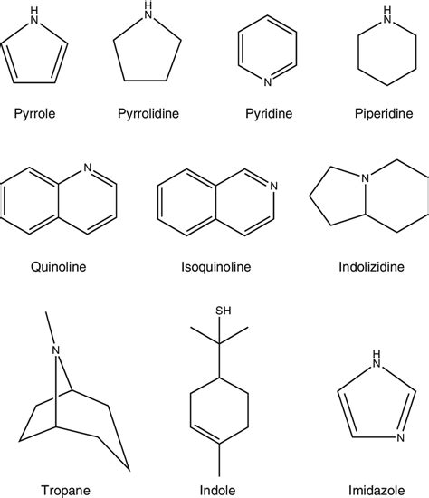 Alkaloid Structure