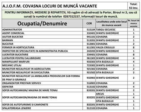 Doar 55 de locuri de muncă vacante în judeţul Covasna Lista completă