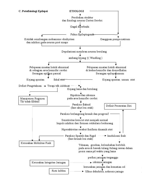 Pathway Epilepsi Pdf