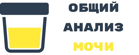 Общий анализ мочи – норма у взрослого и ребенка, расшифровка ...