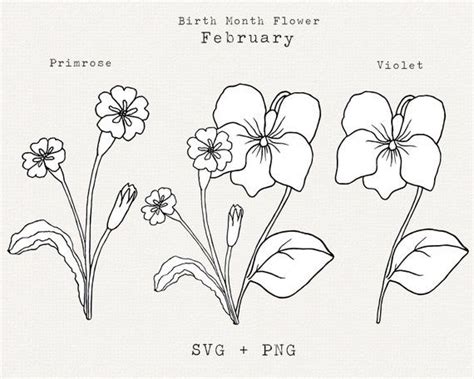 Primrose Flower SVG, Violet Flower SVG, February Birth Month Flowers ...