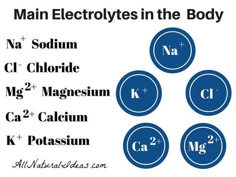 Importance Of Electrolytes In The Body 12160 Social Network