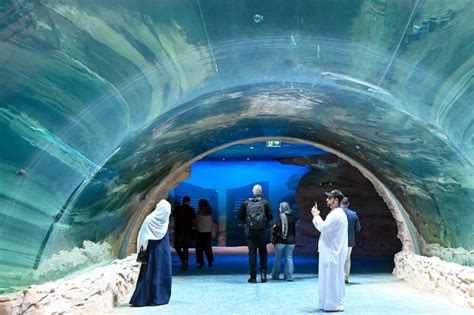 Kids go Free in Dubai, Abu Dhabi: Free tickets to SeaWorld Abu Dhabi ...