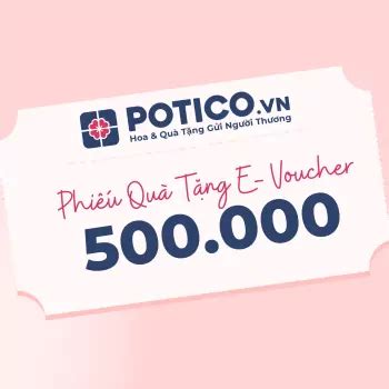 Phiếu Quà Tặng 500 000 VNĐ Potico vn Hoa Tươi Giao Trong Ngày Ý