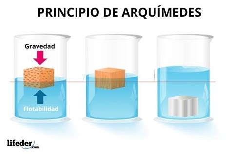 Principio De Arquímedes Fórmula Demostración Aplicaciones