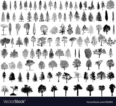 Tree silhouettes Royalty Free Vector Image - VectorStock