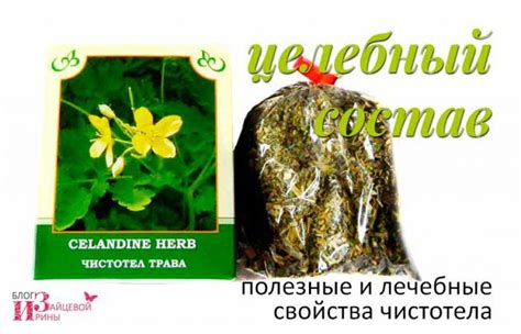 Чистотел: полезные свойства и противопоказания, фото, инструкция по ...