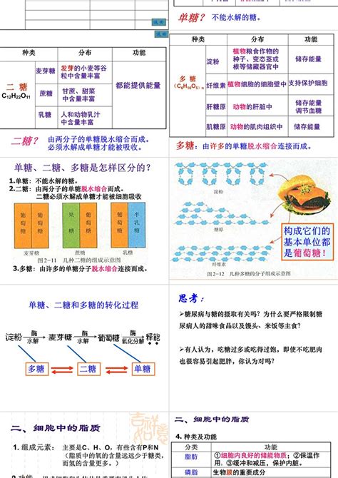 人教版教学课件 名校联盟 黑龙江省友谊县红兴隆管理局第一高级中学高一生物《24细胞中的糖类和脂质》课件ppt卡卡办公