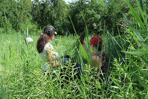 Projekte Mit Schulen Kindern Jugendlichen Balger Natur Umwelt