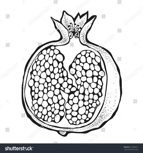 Vector Illustration Pomegranate Isolated On White Stock Vector