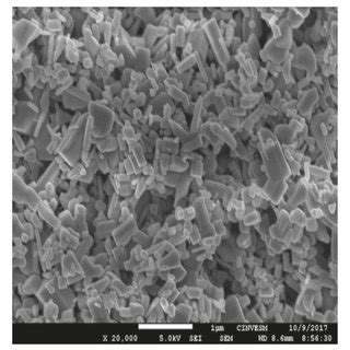 SEM Images Of ZnO Film Showing The Morphology At Different