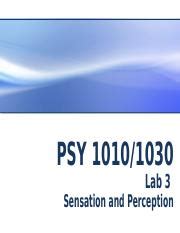 Lab 3 Sensation And Perception Student Version Pptx PSY 1010 1030