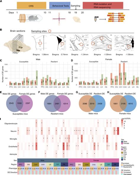 Rnaseq Analysis Identifies Gene Expression Profile