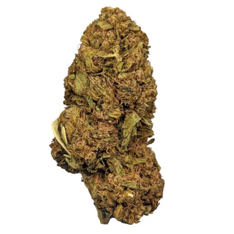 69 Oz THCa Flower 1 Ounce Bulk THCa Budget Buds The Human