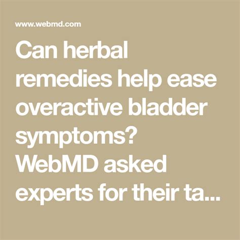 Herbal Remedies For Overactive Bladder Overactive Bladder Herbal