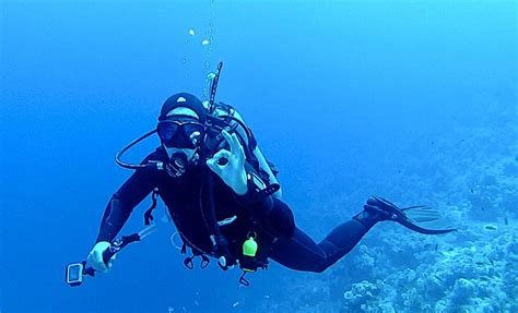 Free Images Extreme Sport Freediving Egypt Sports Divers