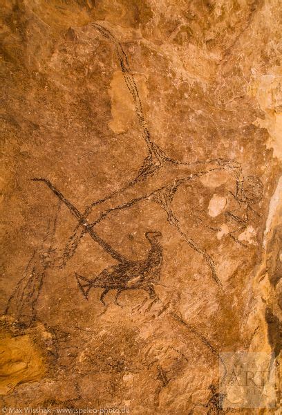 Ancient Art Archive | A pictograph in Cave of the Eagle depicts a Haast's Eagle -one of the ...