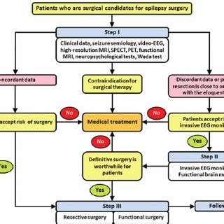 Pdf Surgical Treatment Of Epilepsy Principles And Presurgical Evaluation