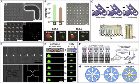 Interrogation of single-cell communications on microfluidic platforms ...