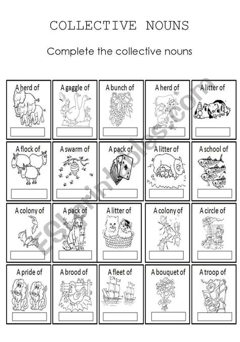 Collective Nouns Worksheet Collective Nouns Nouns Collective Nouns Worksheet