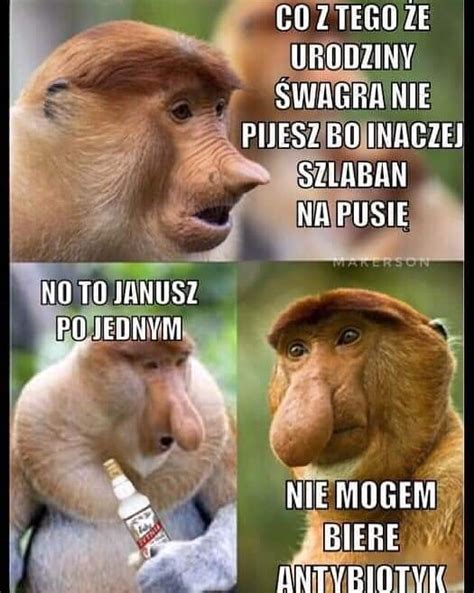 Nosacze Polsko Ci Na Instagramie Sklepnosacze Pl Nosacz Janusz