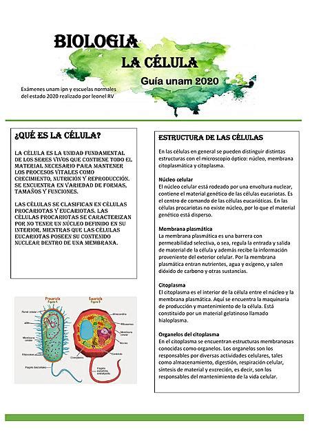 Biolog A C Lula Unam Leonel Rico Udocz