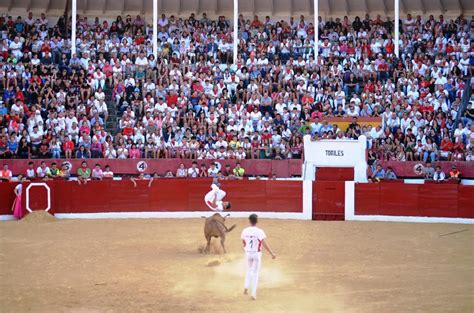 La Plaza De Toros De Calahorra Pasa A Ser Edificio Hist Rico En El Plan