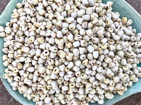 White Lotus Seed Senfood Jsc Vietnam Manufacturer