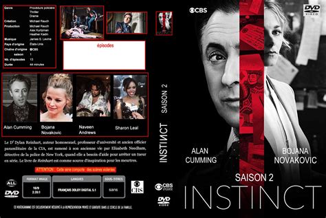 Jaquette Dvd De Instinct Saison 2 Custom Cinéma Passion