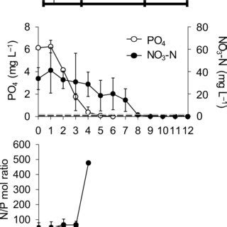 Time course changes in concentrations mg L¹ of nitrate nitrogen