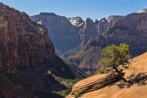 Canyon Overlook - ZionNationalPark.com