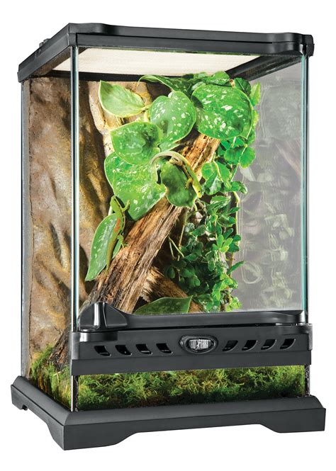 Exo Terra Nano Terrarium Tall Zwart 20x20x30cm Reptielenspullenkopen Nl