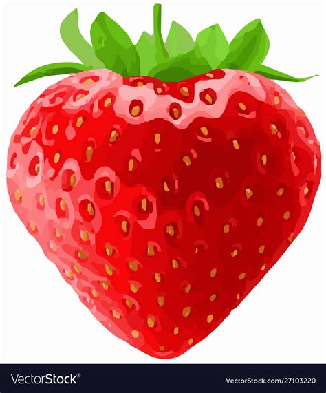 Strawberry on white background Royalty Free Vector Image