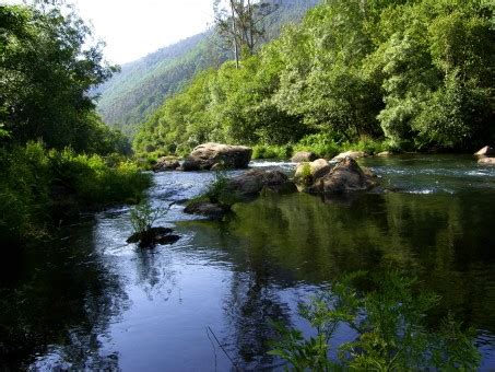 Poze peisaj apă pârâu pustie râu curent junglă rapid corp de