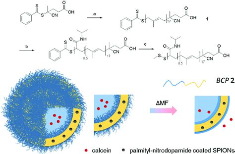 Scheme Preparation Of Thermoresponsive Block Copolymer By Sequential