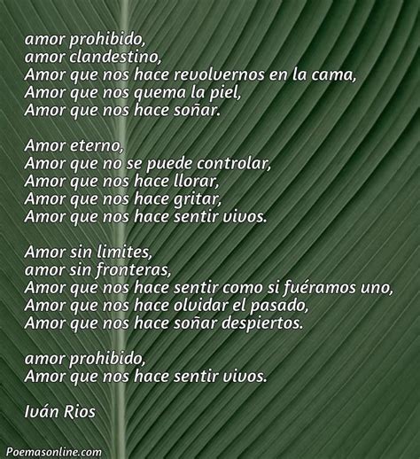 Cinco Poemas Para Amantes Prohibidos Poemas Online