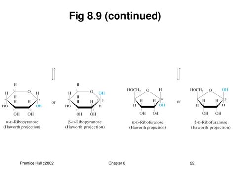 Ppt Principles Of Biochemistry Third Edition Powerpoint Presentation