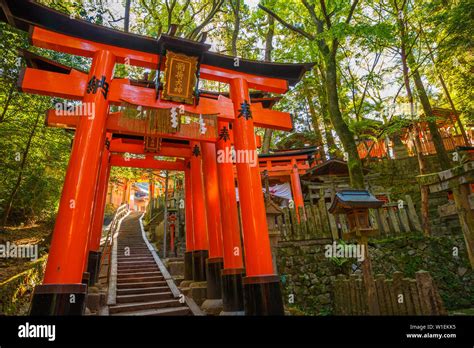 Thousand torii gates, Fushimi Inari Taisha, the most important Shinto shrine, Kyoto, Japan, Asia ...