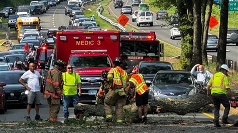 2 Treated For Minor Injuries After Tree Falls Across Route 15 North In