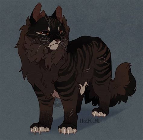 Warrior Cats Books Warrior Cats Fan Art Warrior Cat Drawings Warrior