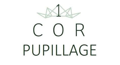 Pupillage Application Tips and Life at the Bar with 1COR - 1 Crown Office Row, London, Barrister ...