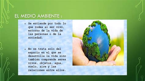 El Medio Ambiente Y Los Recursos De La Naturaleza PPT