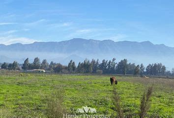 Parcelas En Venta En Mostazal Cachapoal Icasas Cl